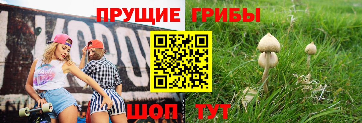 Псилоцибиновые грибы Cubensis  Псилоцибиновые грибы прущие грибы  Торжок  Вход с VPN 